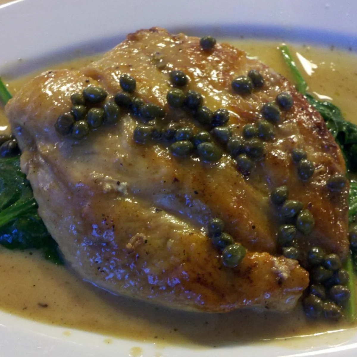 Chicken piccata with capers